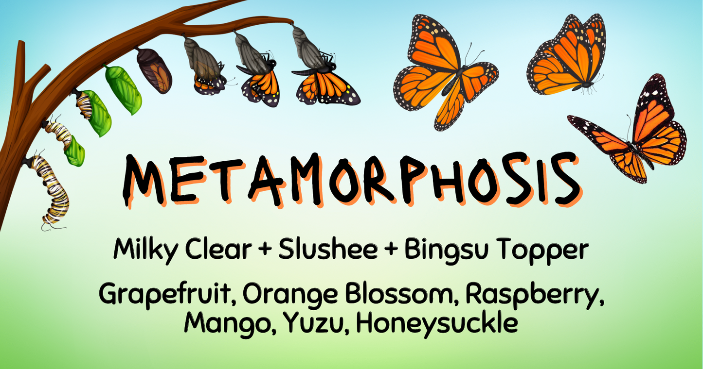Metamorphosis